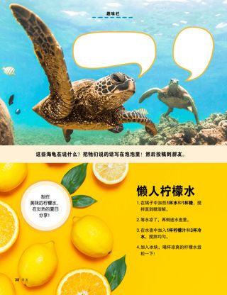 海龟照片和柠檬照片