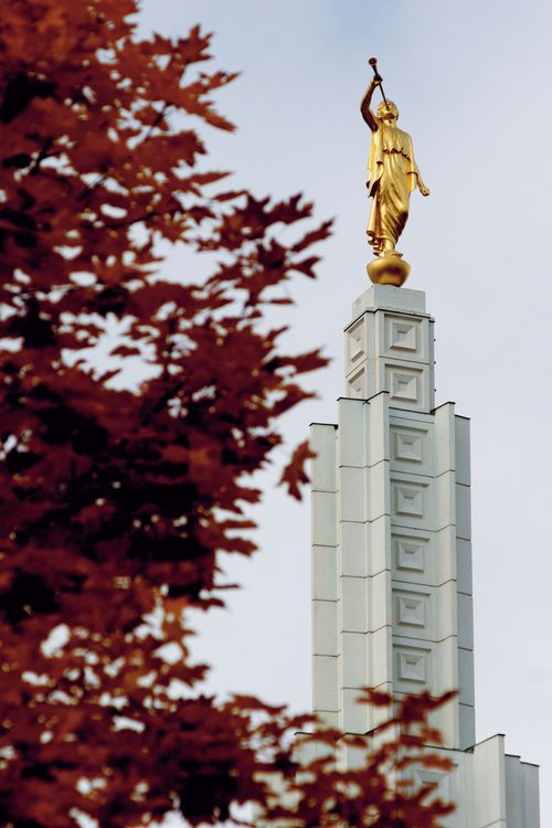 The spire and angel Moroni statue on top of the Idaho Falls Idaho Temple in the fall, with a branch of red leaves over to the left side.