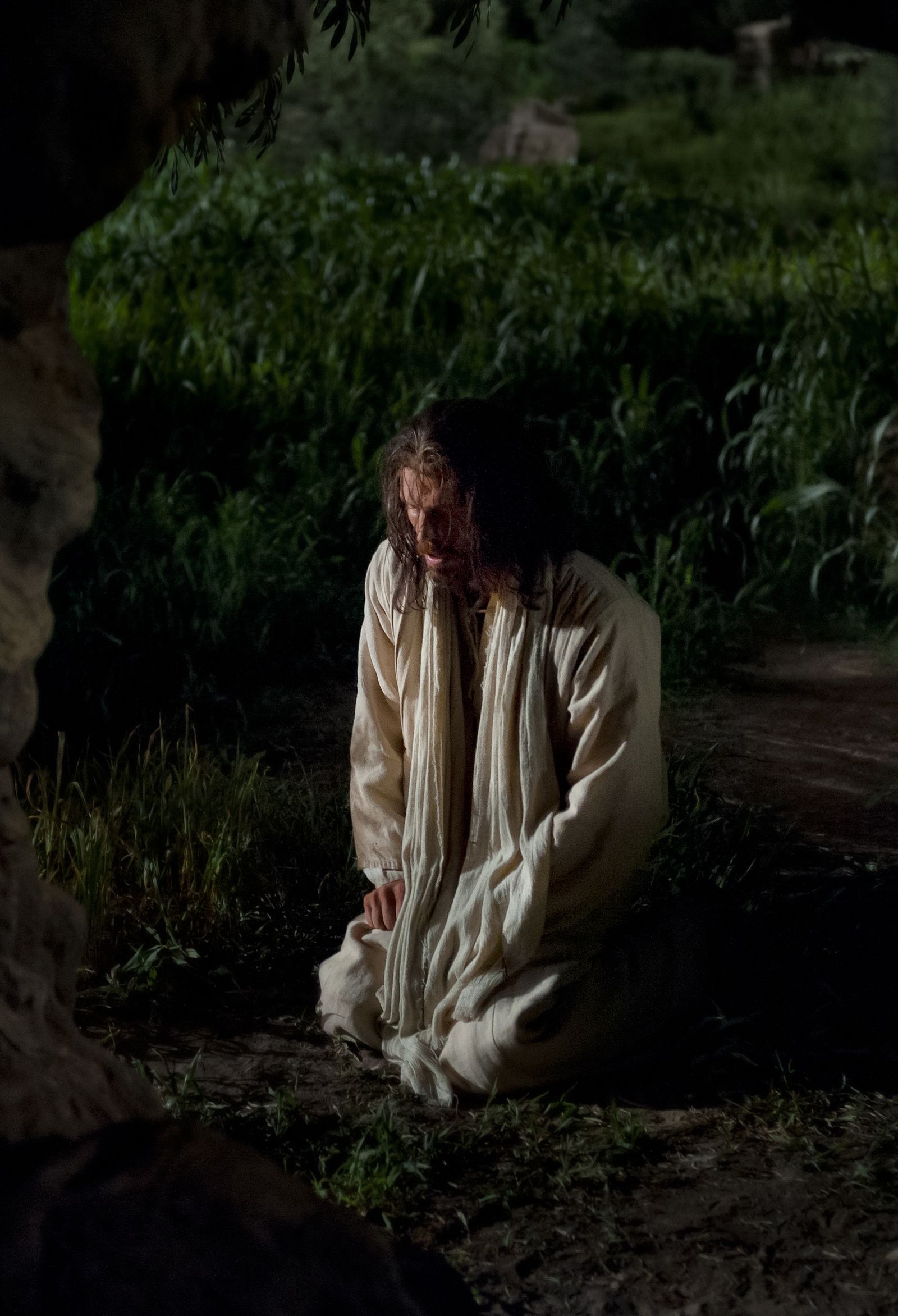 Cristo se arrodilla en Getsemaní para orar.