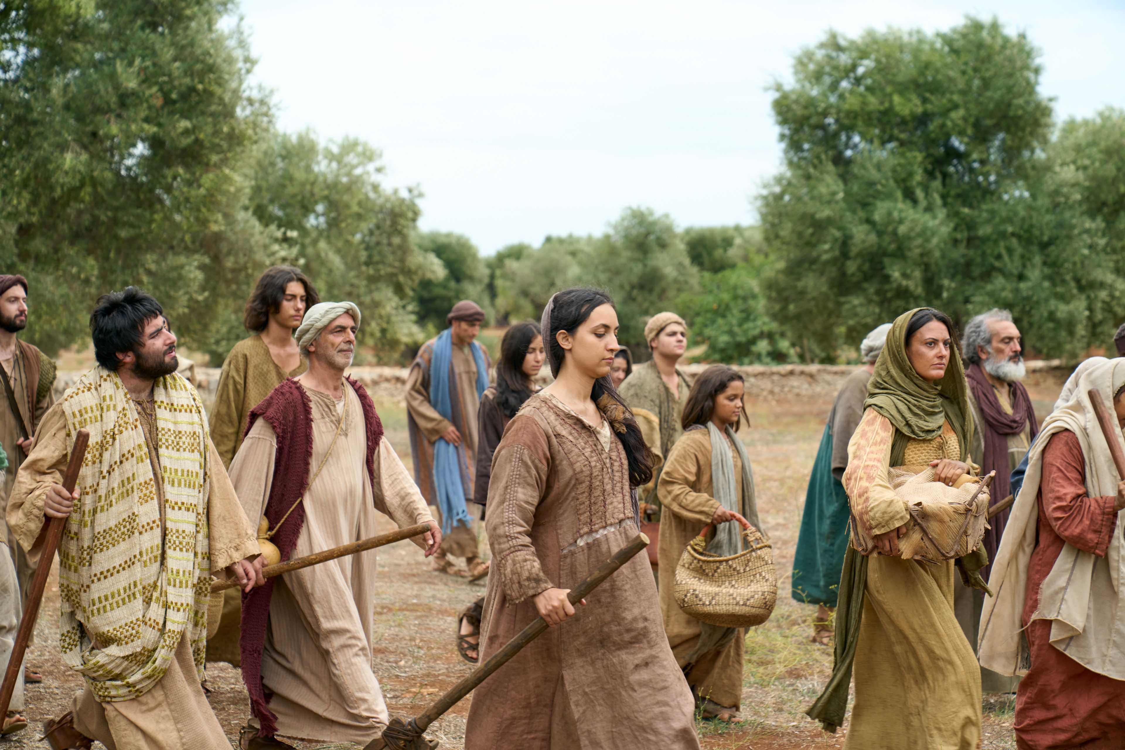 Men and women of all ages come to aid in caring for the vineyard. This is part of the olive tree allegory mentioned in Jacob 5.