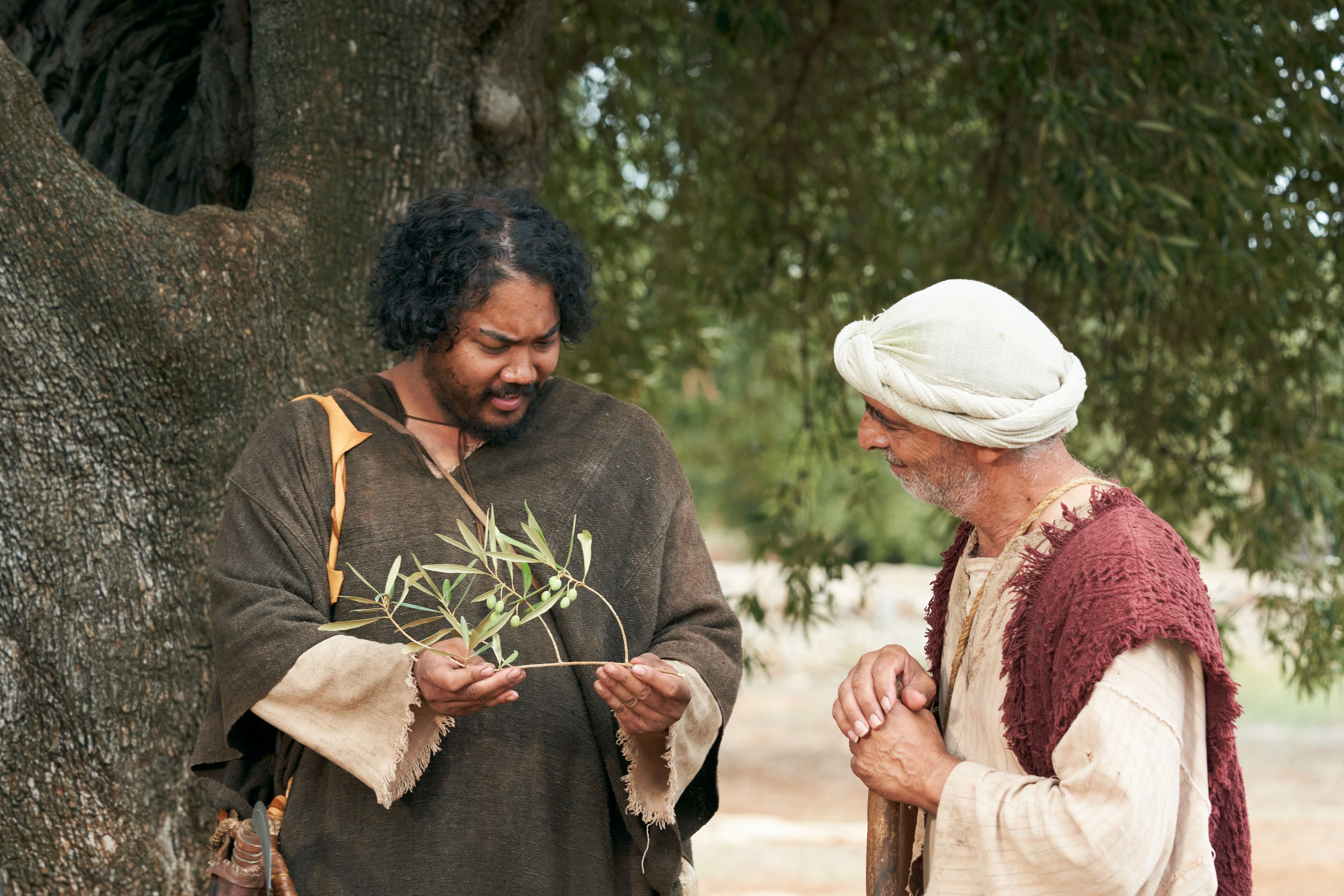 The Lord of the Vineyard inspects a branch from an olive tree with one of the servants. This is part of the olive tree allegory mentioned in Jacob 5.