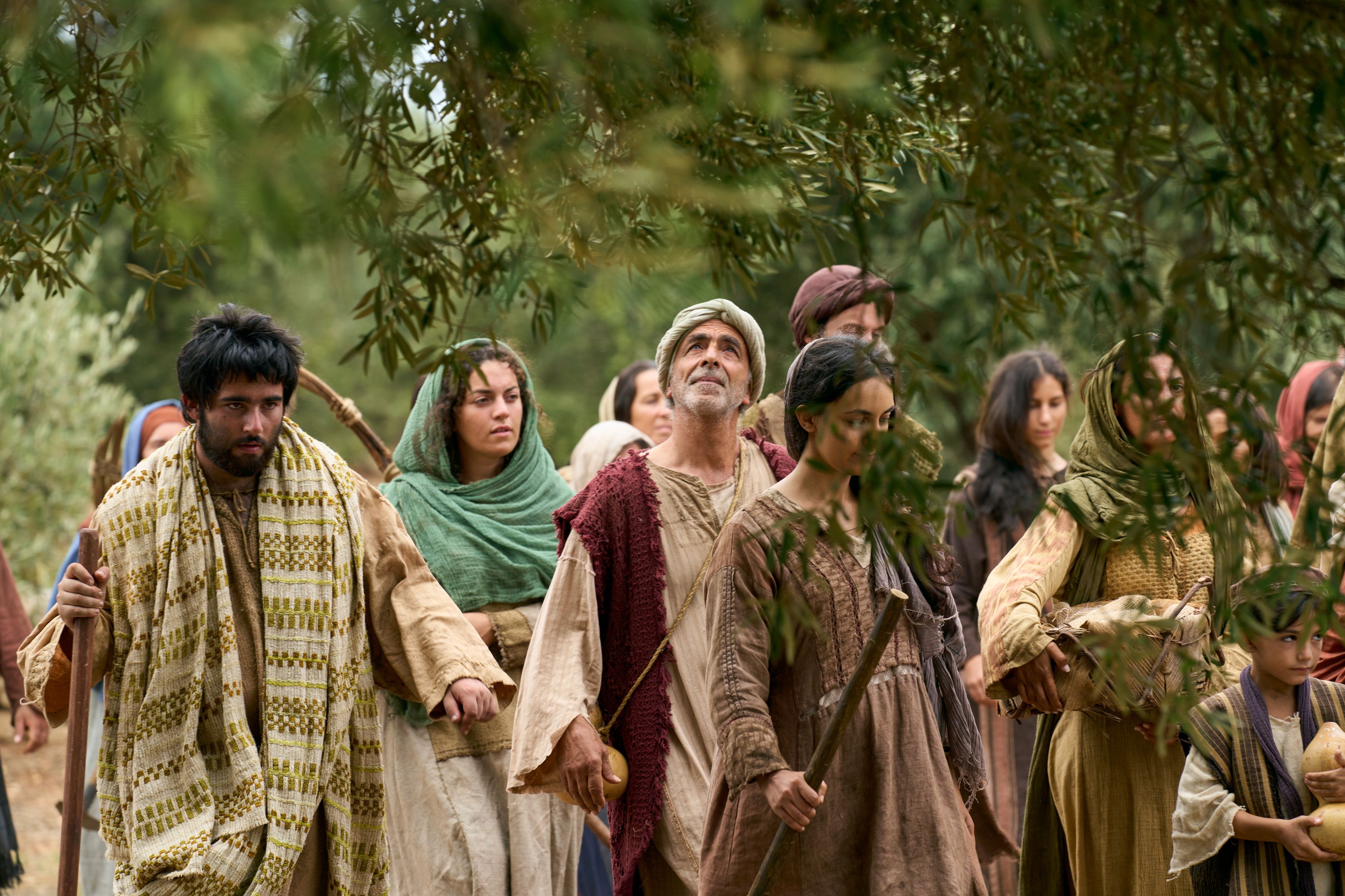 Men and women of all ages come to aid in caring for the vineyard. This is part of the olive tree allegory mentioned in Jacob 5.