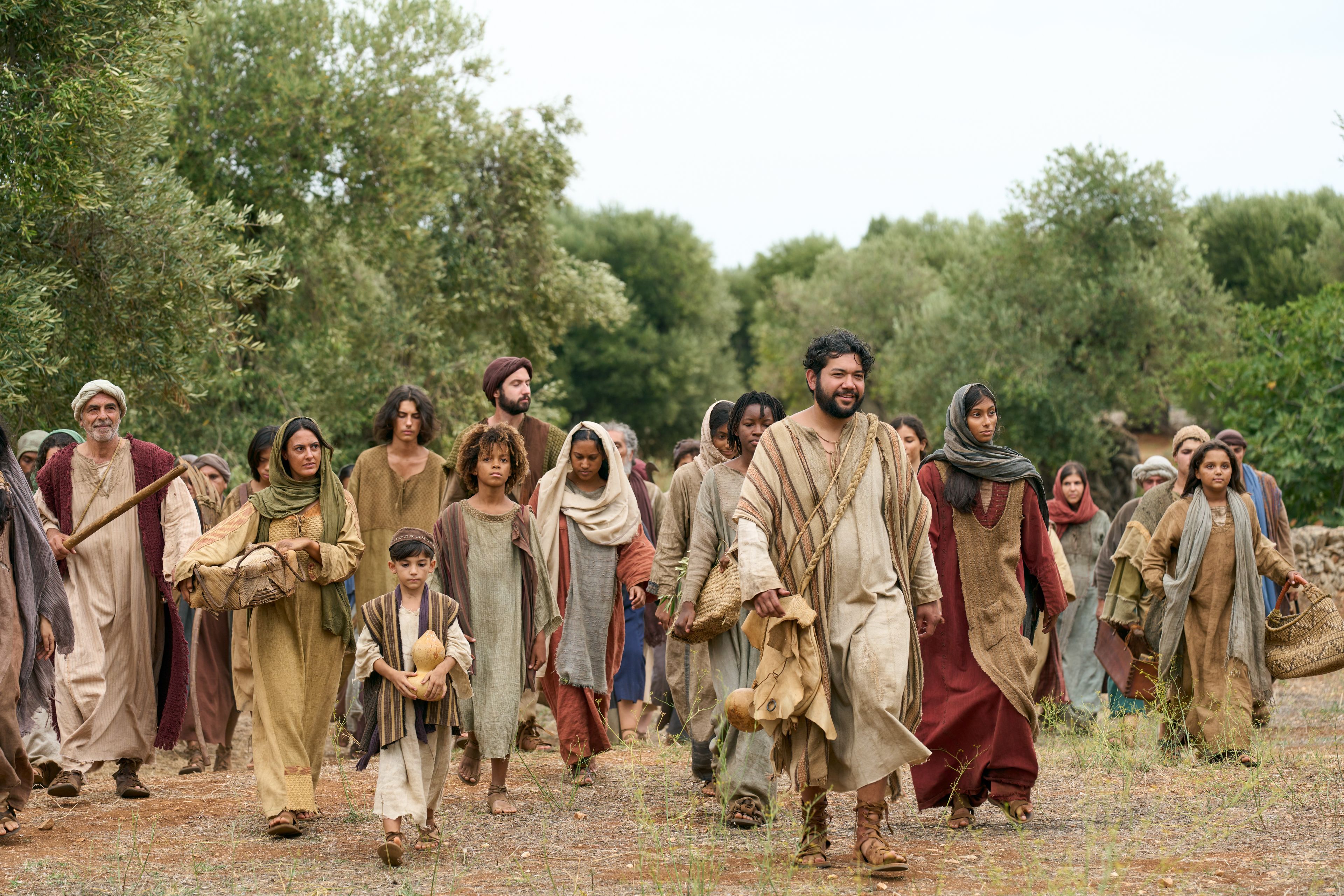 The Servant of the Vineyard leads other servants, men and women of all ages, to aid in caring for the vineyard. This is part of the olive tree allegory mentioned in Jacob 5.