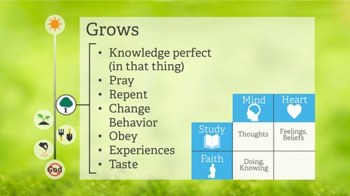 Slide from a Powerpoint presentation given by Elder Lynn G. Robbins for May 3, 2015 CES Devotional.