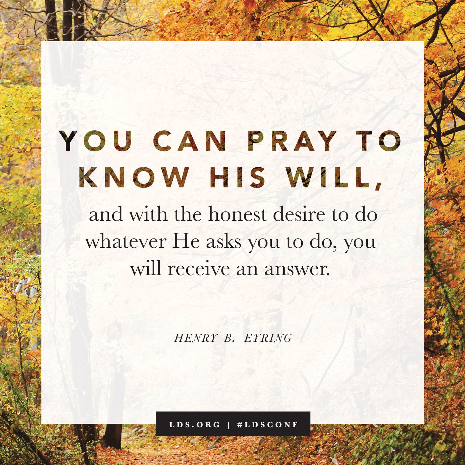 “You can pray to know His will, and with the honest desire to do whatever He asks you to do, you will receive an answer.” —President Henry B. Eyring, “You Are Not Alone in the Work”