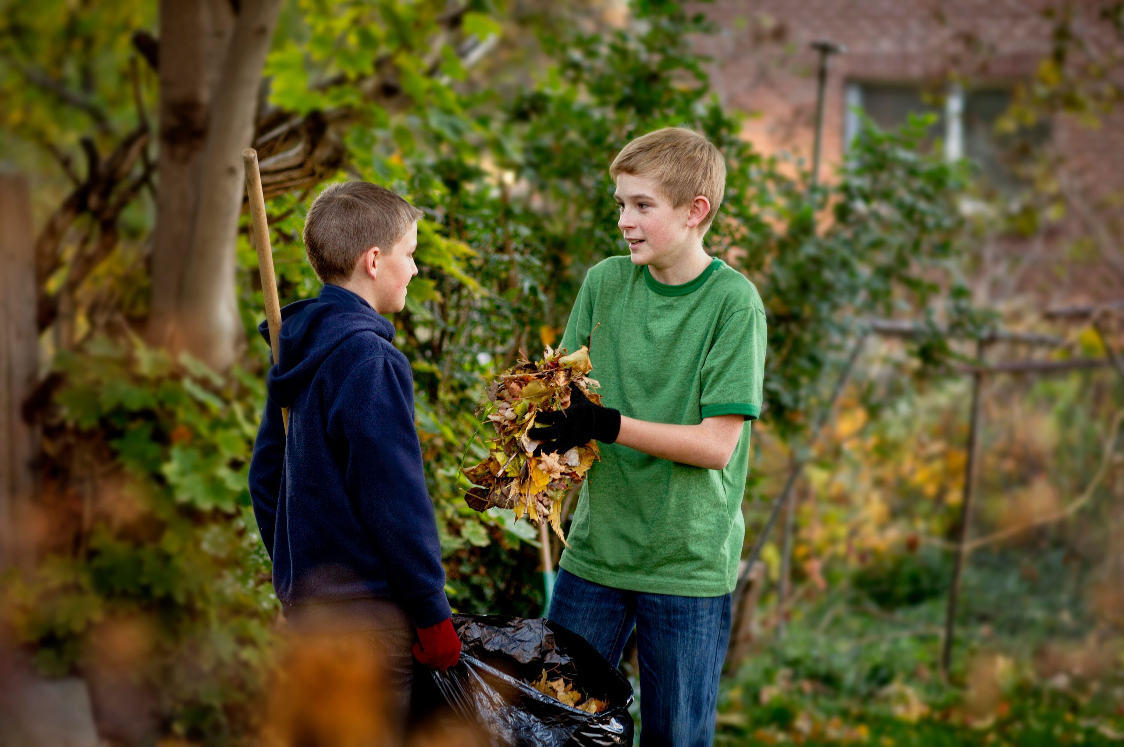 Two young boys rake the leaves in a yard.  