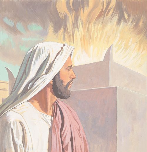 Jesus goes to the temple in Jerusalem - ch.13-1