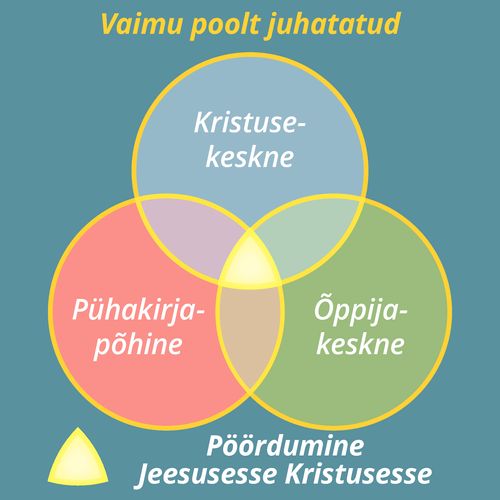 Vaimust juhitud õpikogemuse joonis