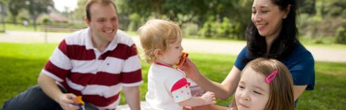 family group at picnic