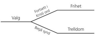 oversikt, valg og konsekvenser