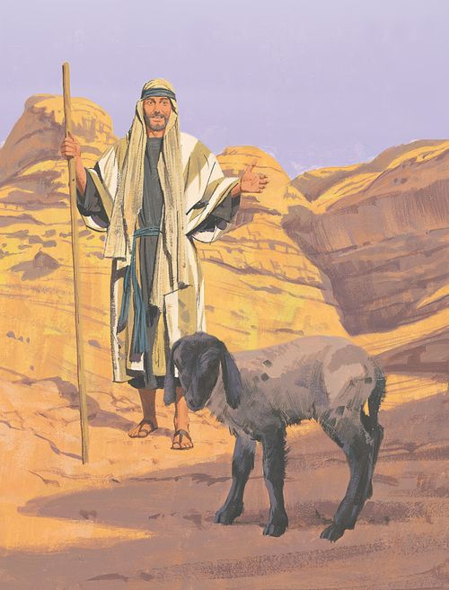 shepherd finding lost sheep