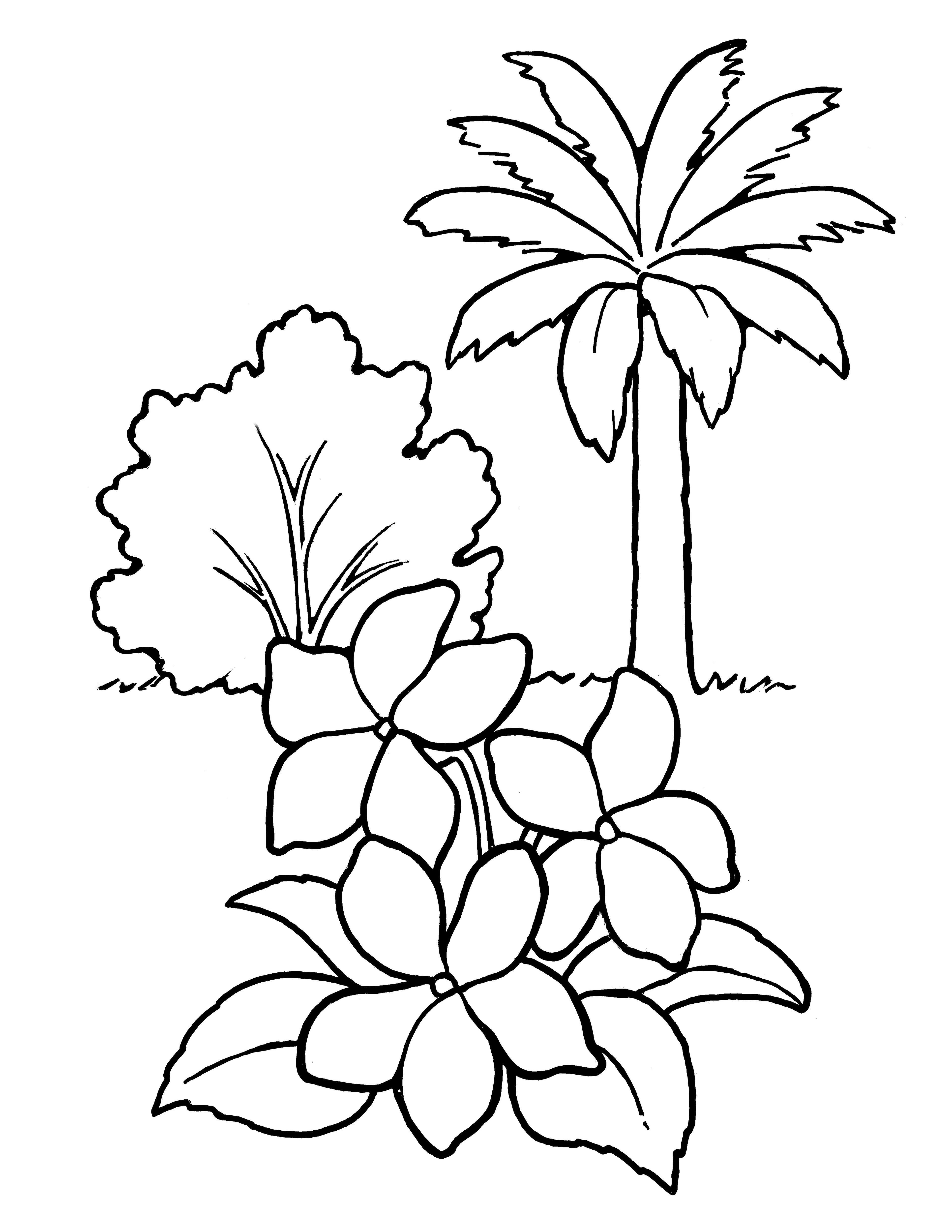 A line drawing of plants and trees from the nursery manual, Behold Your Little Ones (2008), page 35.