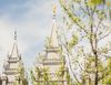 Salt Lake Temple spires