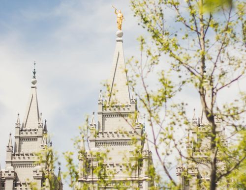 Exterior shot of the Salt Lake Temple. The trees are in bloom.