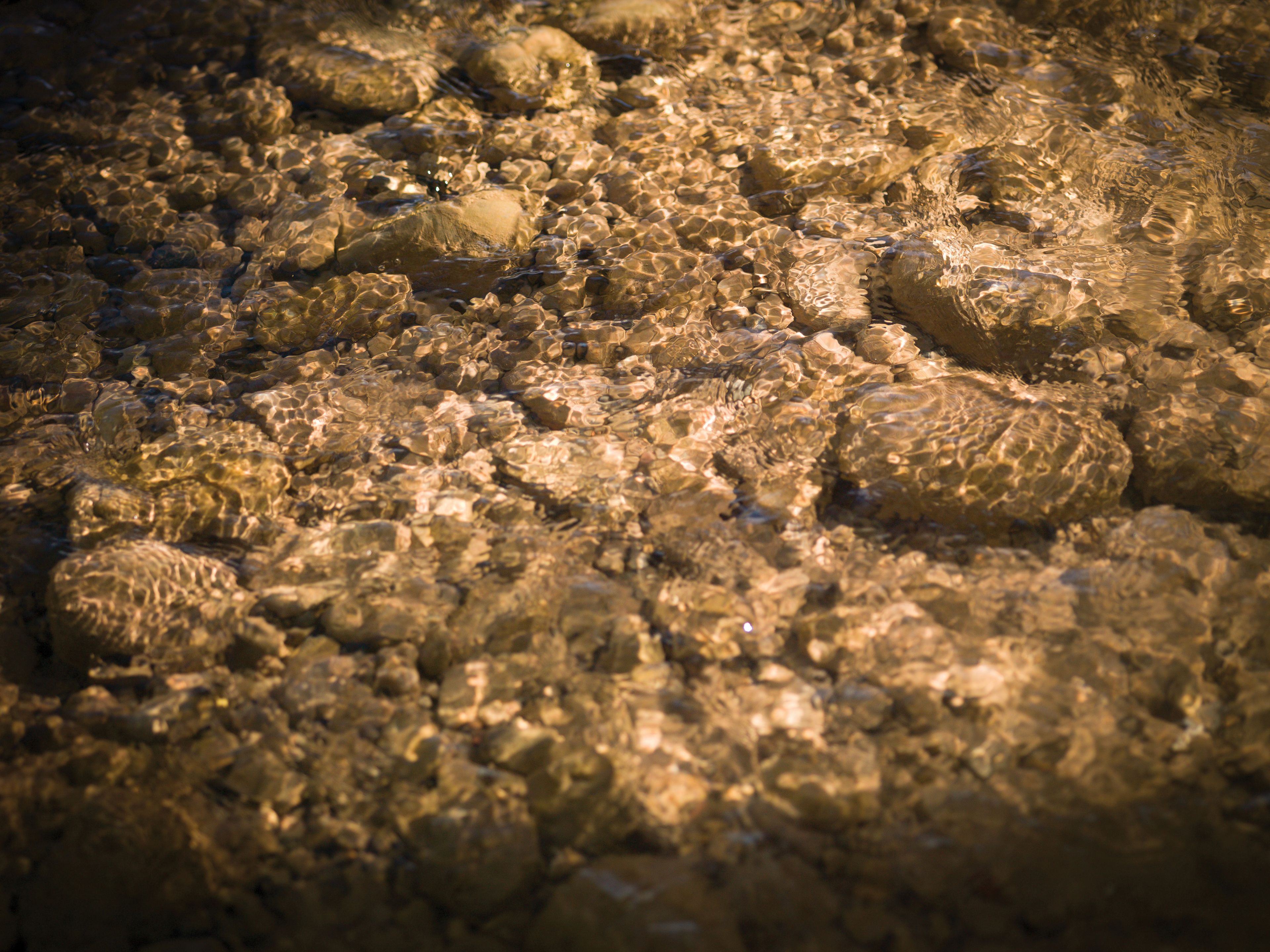 Rocks sit below the surface of water.