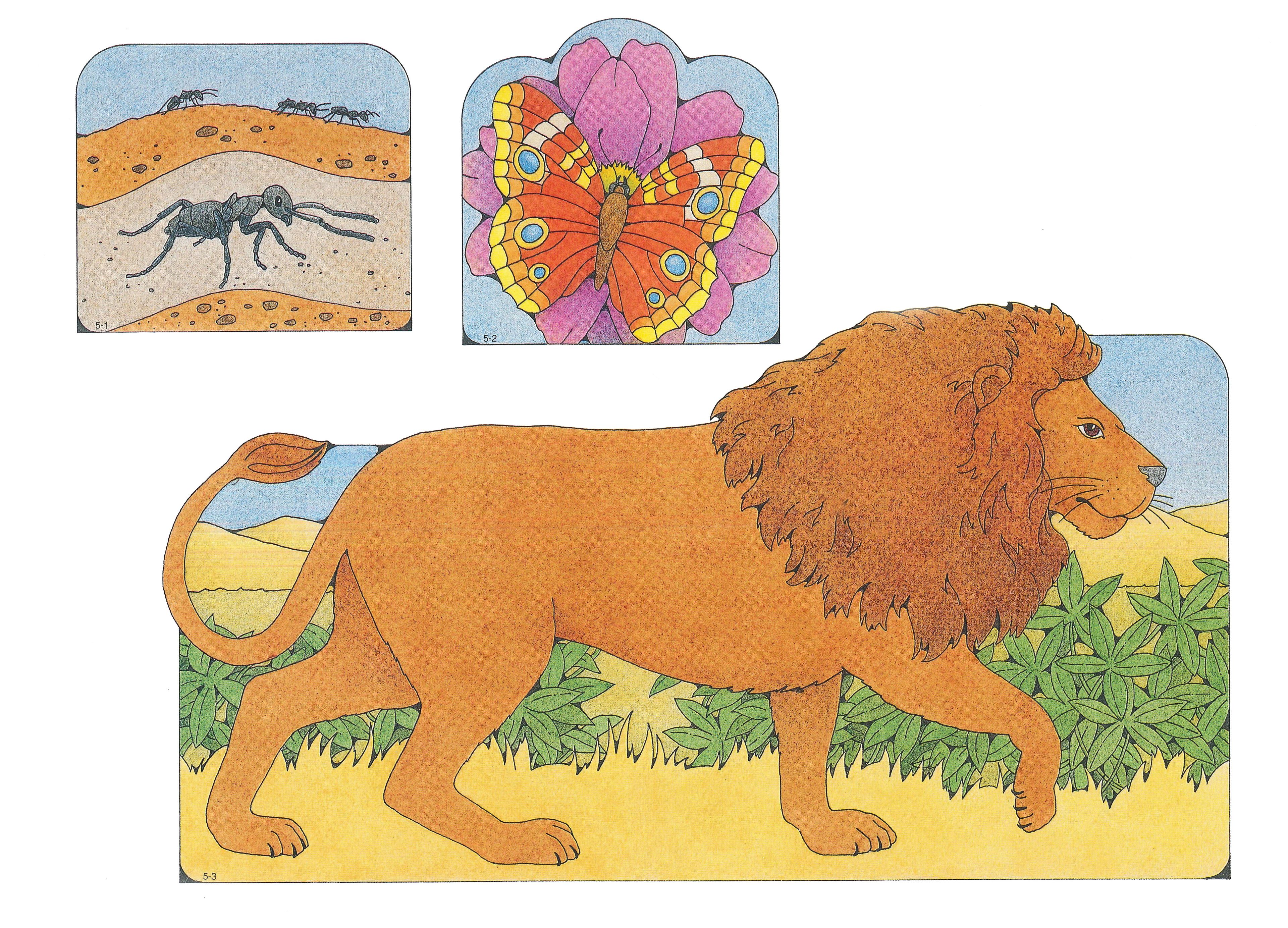 Primary Visual Aids: Cutouts 5-1, Ants; 5-2, Butterfly; 5-3, Lion.