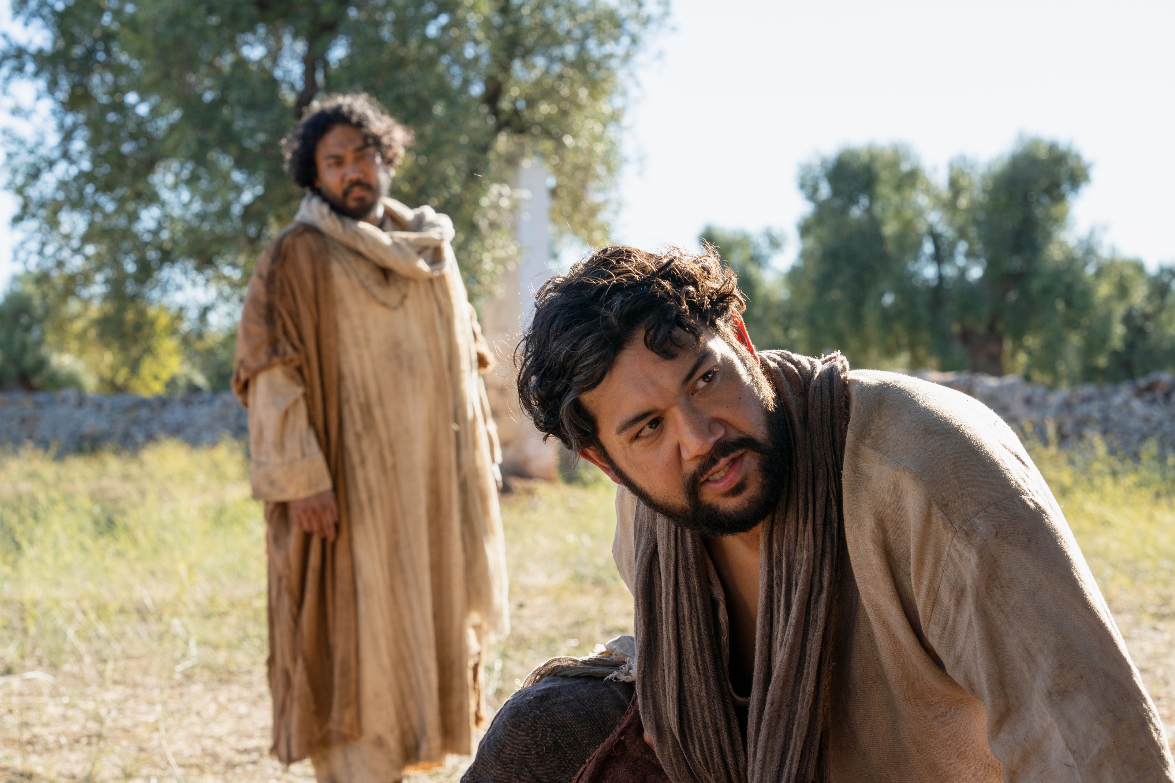 The Servant of the Vineyard inspects the olive trees that have brought forth bad fruit. This is part of the olive tree allegory mentioned in Jacob 5.