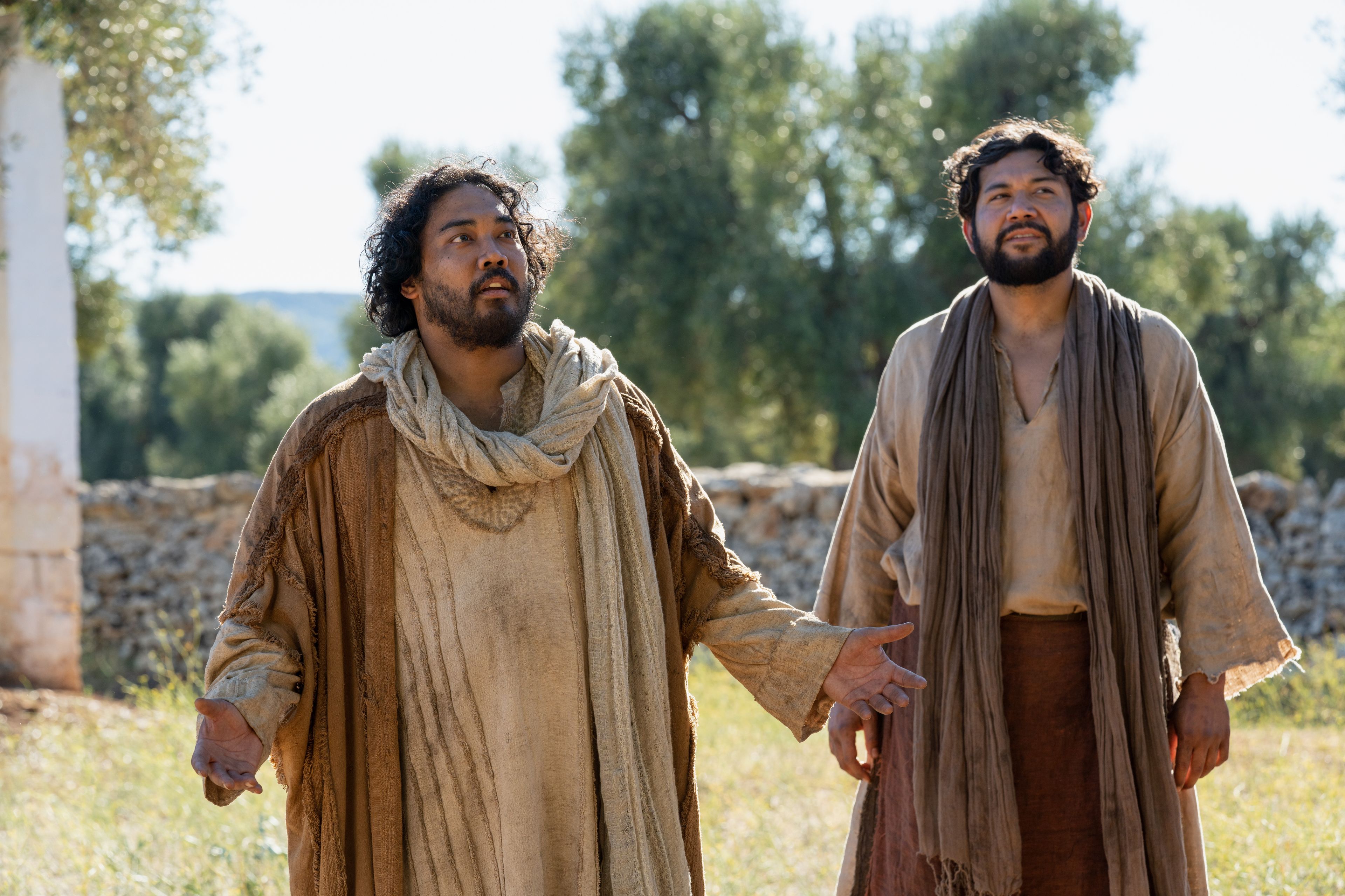 The Lord of the Vineyard and his servant look upon an olive tree that was grafted with branches. This is part of the olive tree allegory mentioned in Jacob 5.