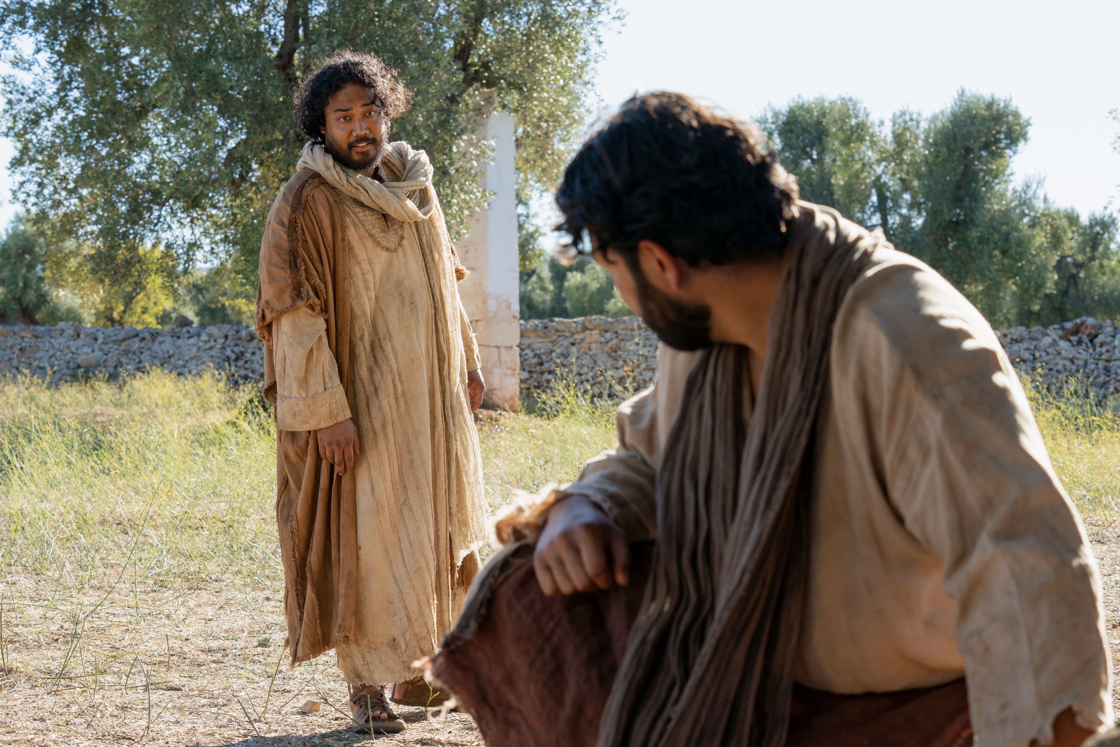 The Servant of the Vineyard speaks to the Lord about why the trees have become corrupted. This is part of the olive tree allegory mentioned in Jacob 5.