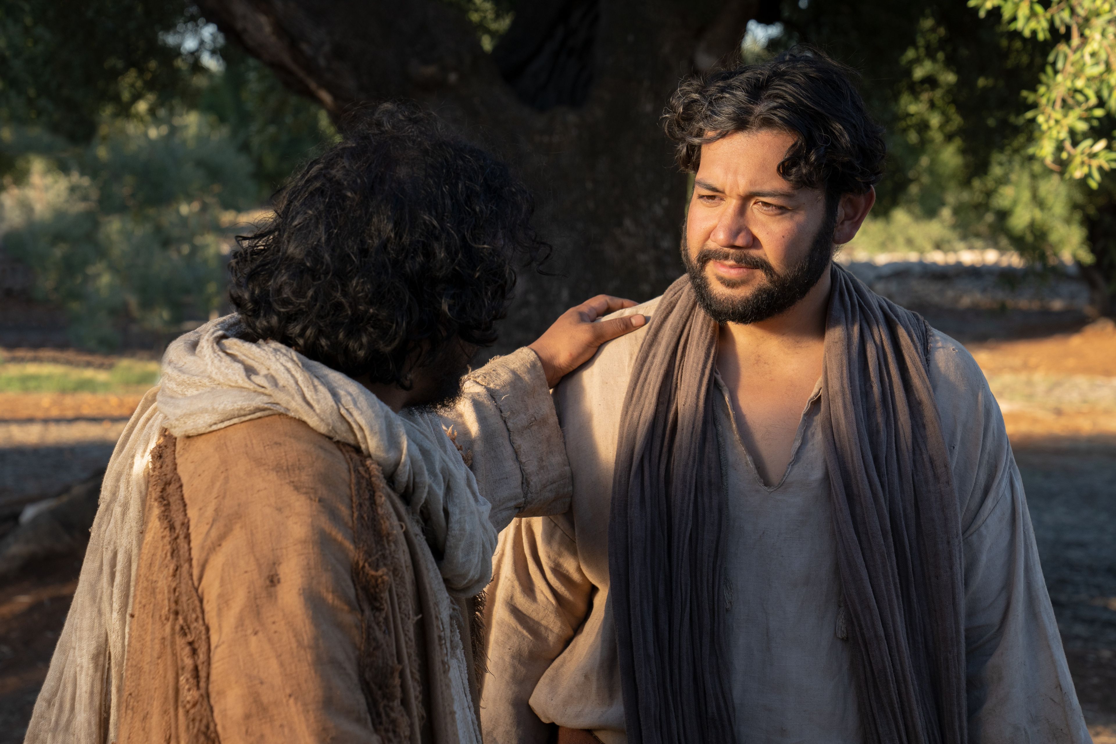 The Lord of the Vineyard instructs his servant to labor diligently in the vineyard that they may bring forth good fruit. This is part of the olive tree allegory mentioned in Jacob 5.