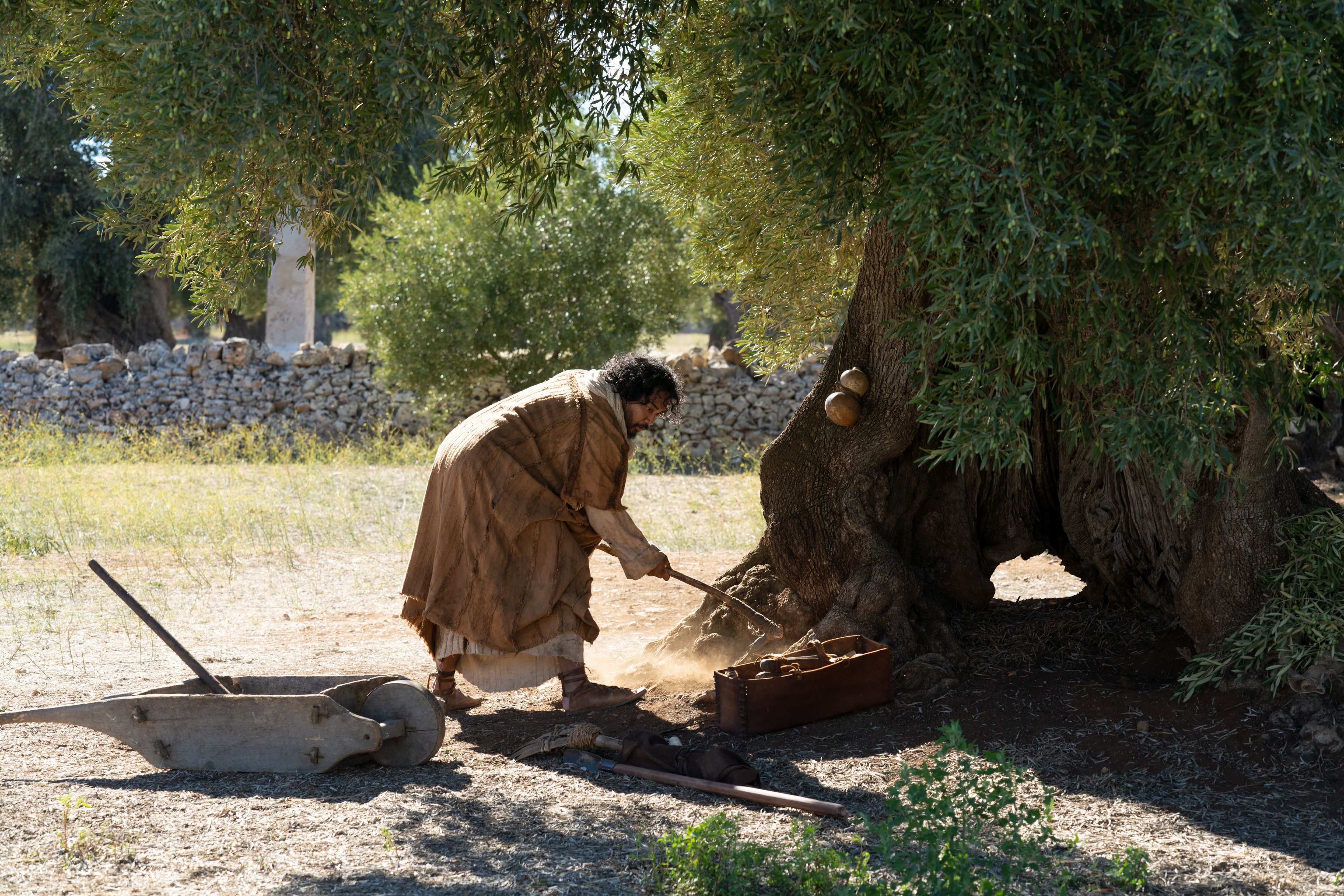 The Lord of the Vineyard takes some branches from the mother olive tree and grafts them into another tree. This is part of the olive tree allegory mentioned in Jacob 5.