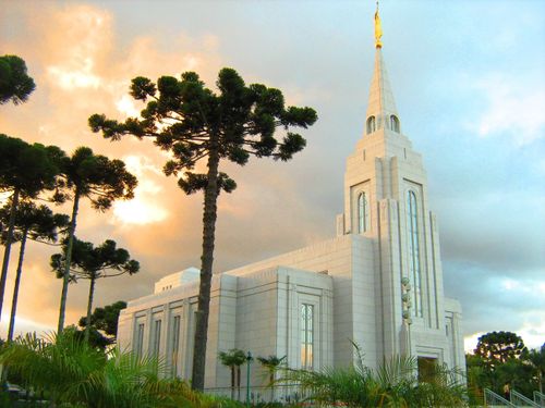 The Curitiba Brazil Temple in the yellow light of the sunset, with large green trees growing on the grounds.