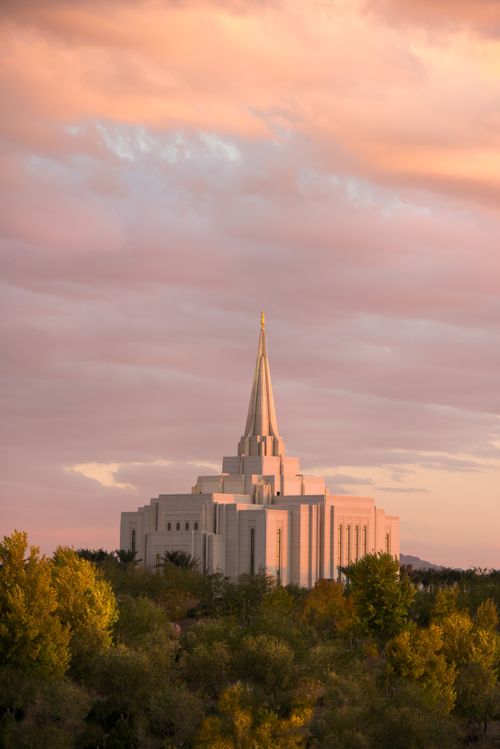 A view of the Gilbert Arizona Temple rising above the trees from afar in the late evening, with pink and orange light.