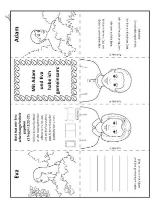 Seite mit der Aktivität: Wie Adam und Eva habe ich Entscheidungsfreiheit
