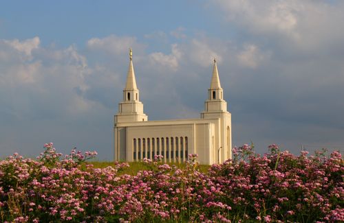 A side view of the Kansas City Missouri Temple on top of a hill, with pink flowers in the foreground.