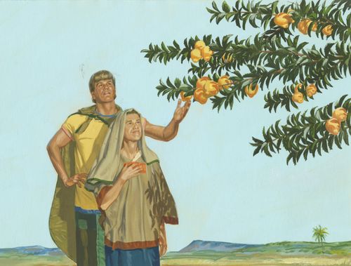 man and wife picking fruit