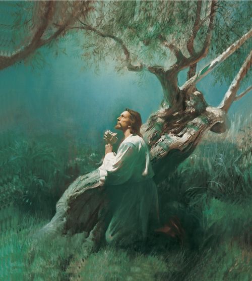 Jesus Praying in Gethsemane