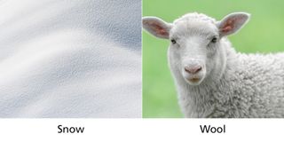 snow and wool