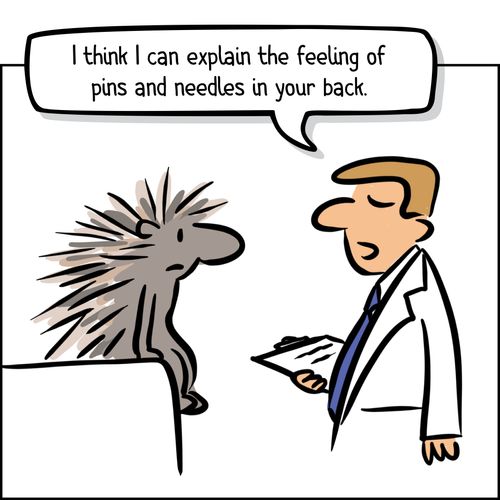 porcupine with doctor