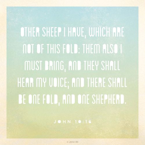 A yellow and blue gradient background with the text from John 10:16 printed on top.