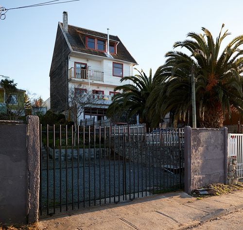 house with palm tree