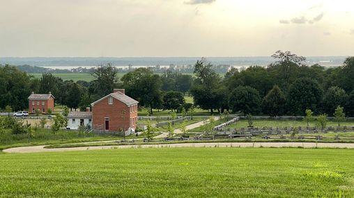 Nauvoo Landscape