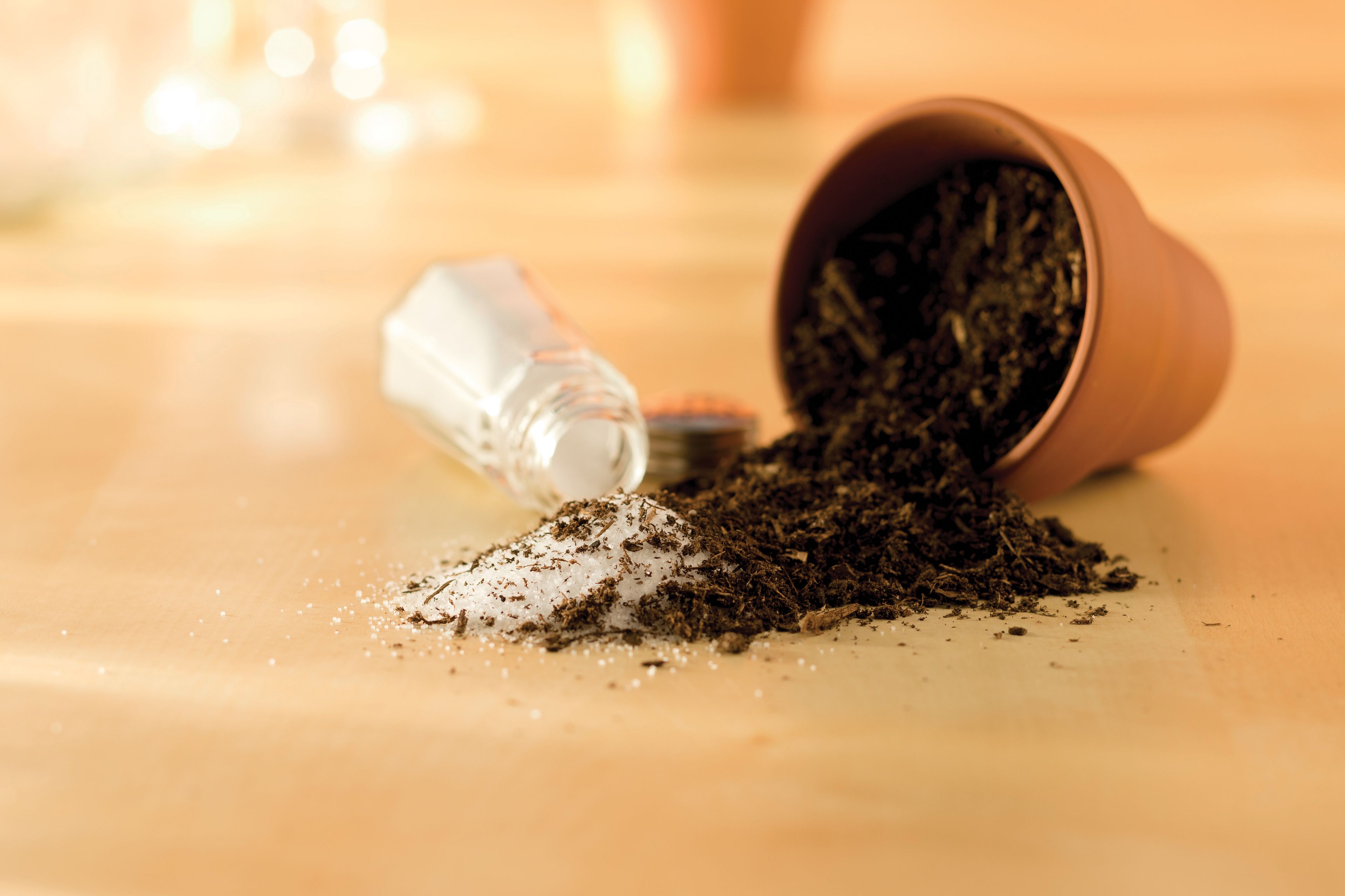 A conceptual photograph of salt mixing with dirt.