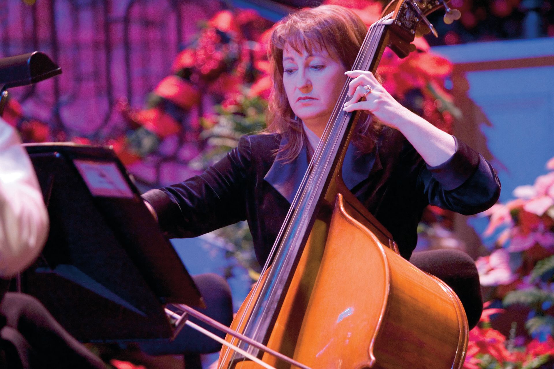A member of the Orchestra at Temple Square plays a double bass during a Christmas concert.