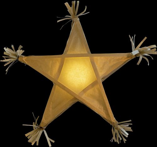 star-shaped Christmas ornament