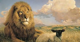 een leeuw en een schaap