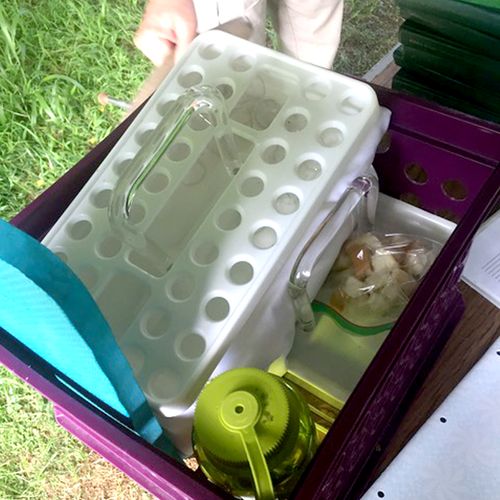 sacrament tray