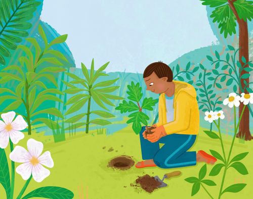 Boy planting a tree