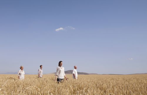 people standing in wheat field