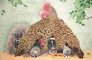 hen with various animals under its wings