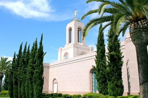 A part of the Newport Beach California Temple, with trees, including a large palm growing near the temple.