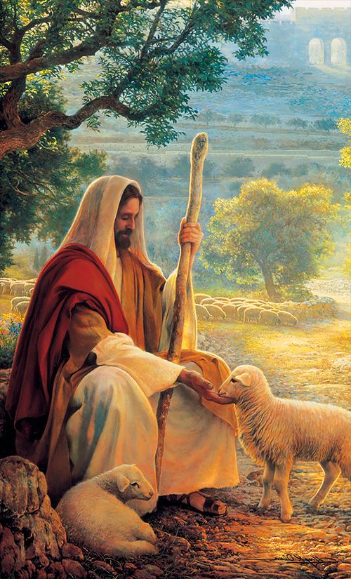 Jesus feeding His sheep