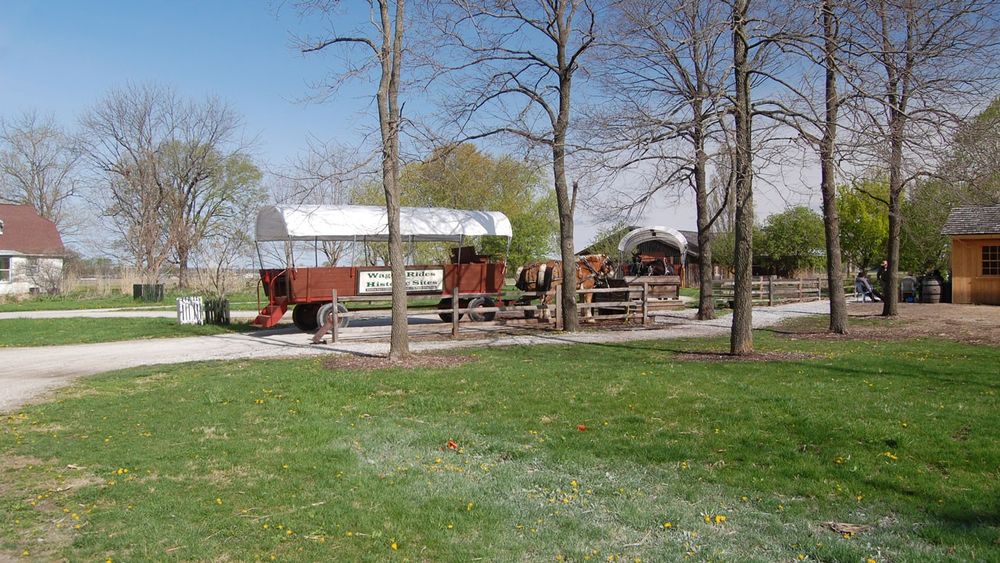 A grass lawn in the foreground and two empty wagons with horses wearing harnesses in the background.