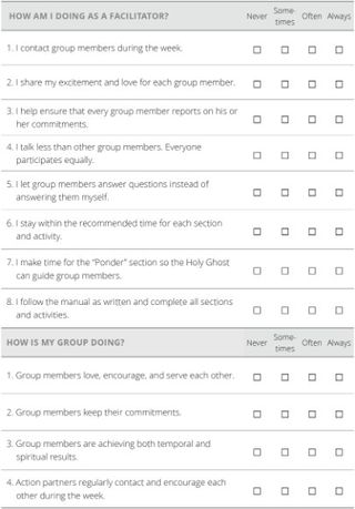 facilitator self-assessment