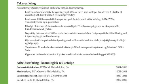 eksempel på god CV