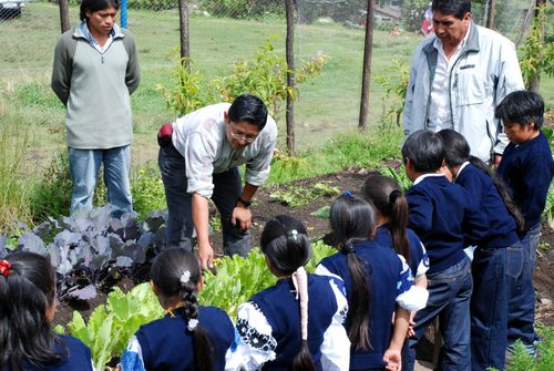 A row of children in blue uniforms learn about plants in a garden from several adult teachers who are with them.